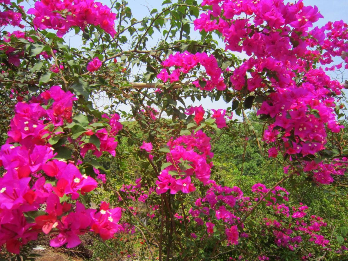 Namaste Yoga Farm Vila Gokarna  Exterior foto