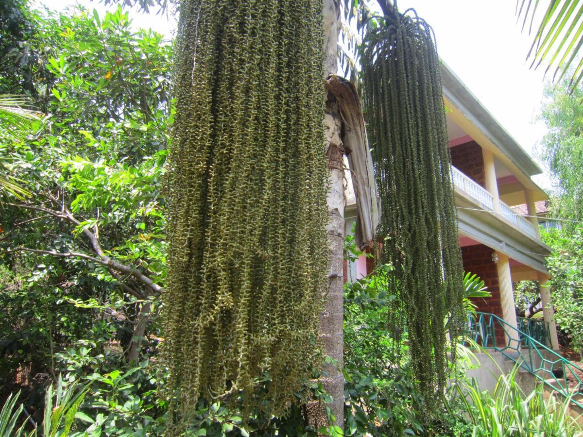 Namaste Yoga Farm Vila Gokarna  Exterior foto