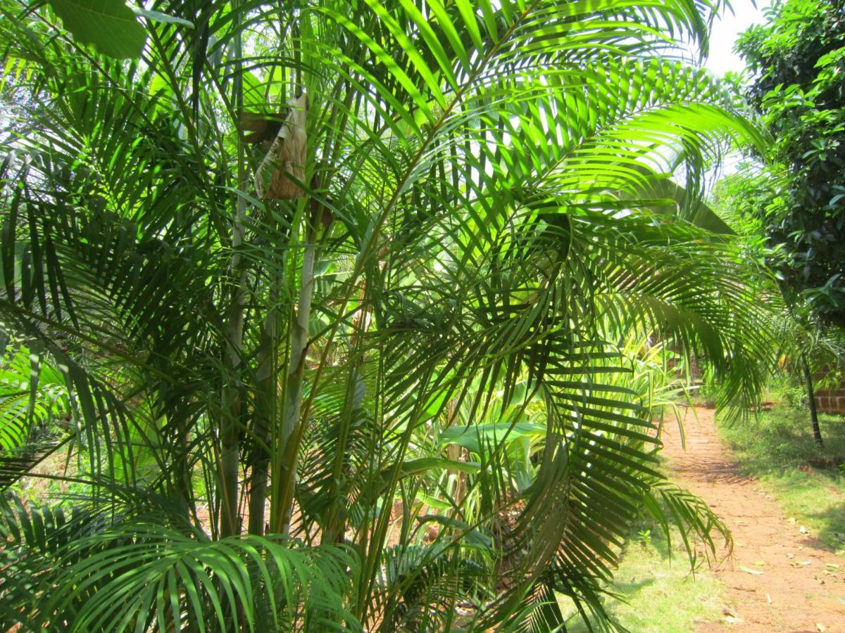 Namaste Yoga Farm Vila Gokarna  Exterior foto