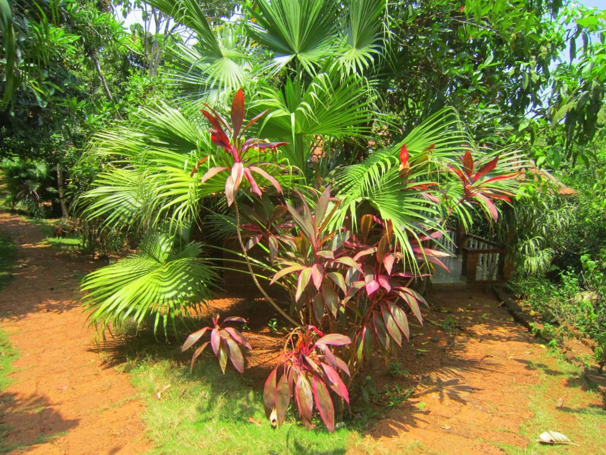 Namaste Yoga Farm Vila Gokarna  Exterior foto